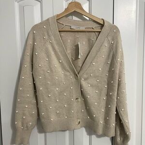 Brand New: Loft Sweater